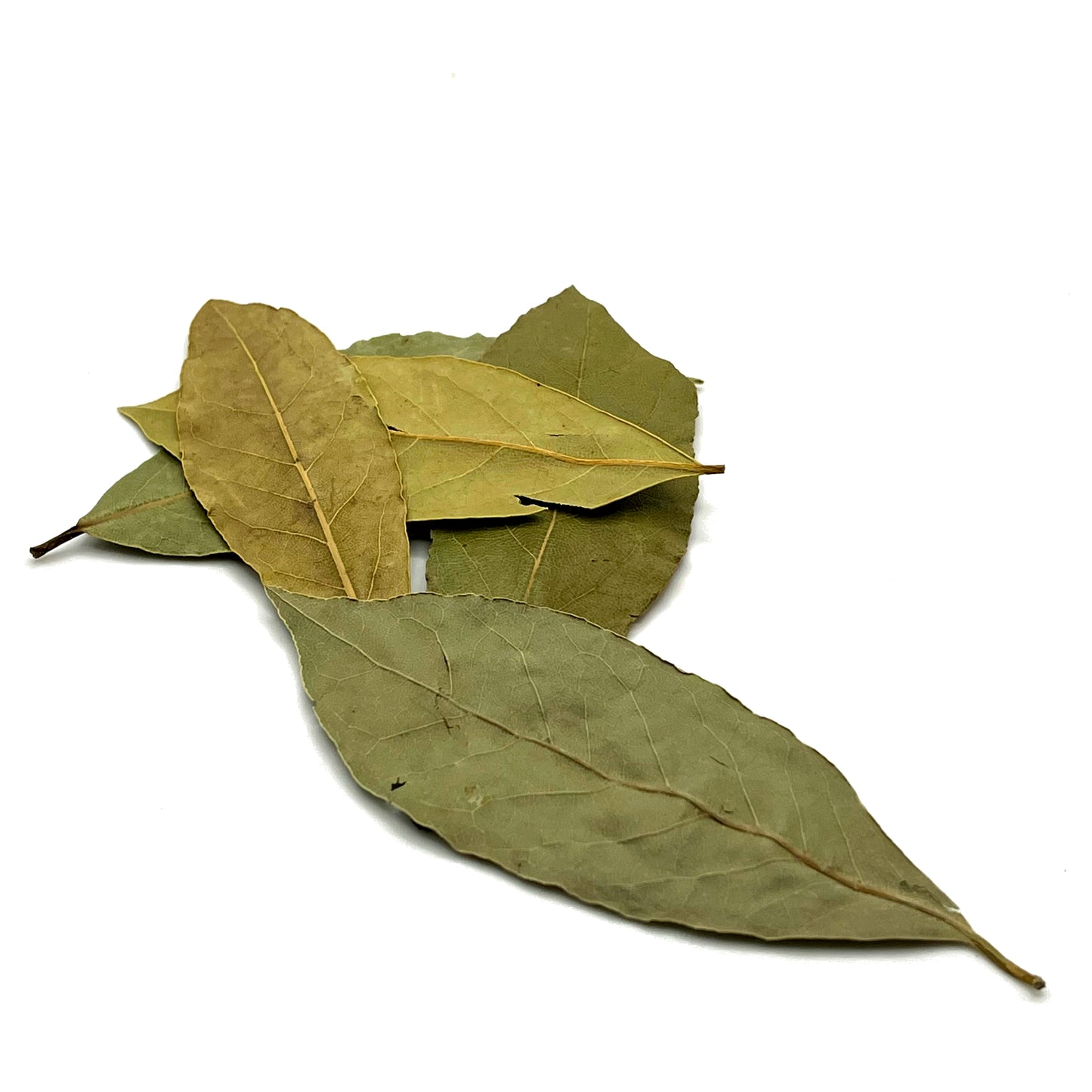 Bay Leaf