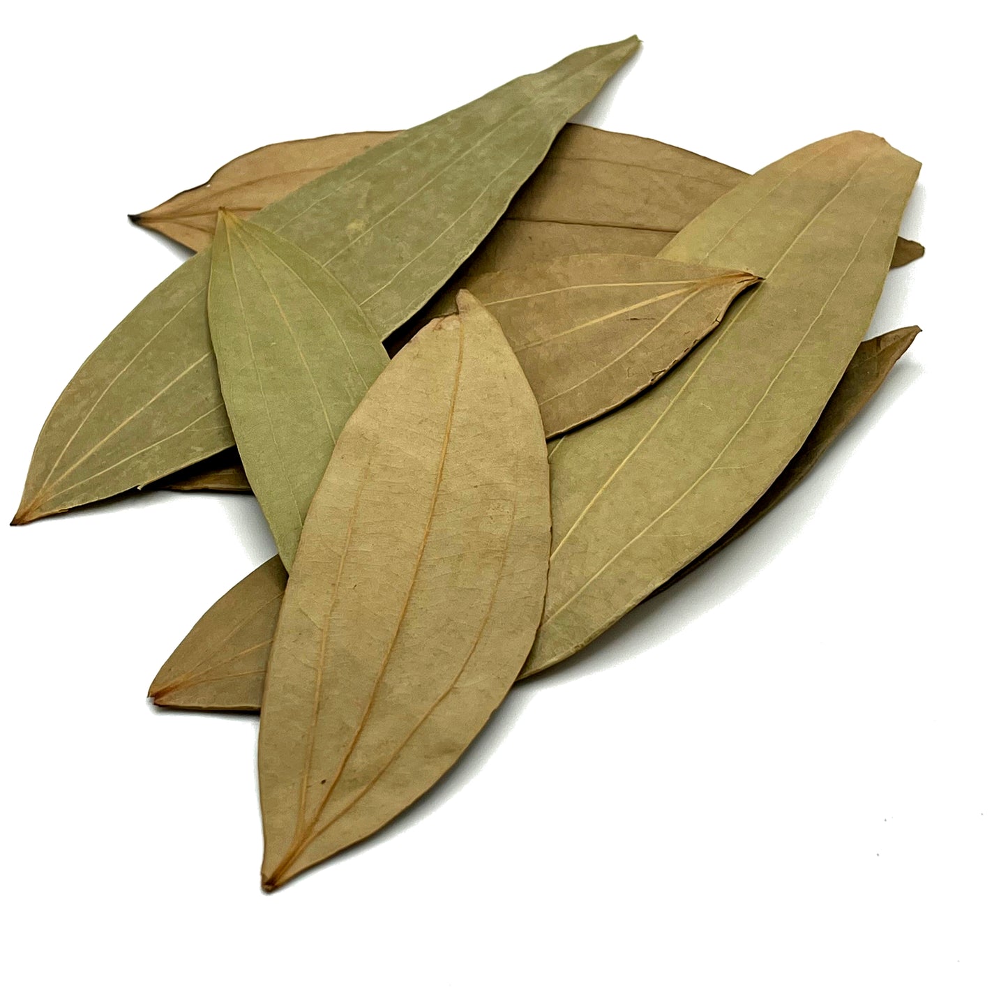 Bay Leaf, Indian