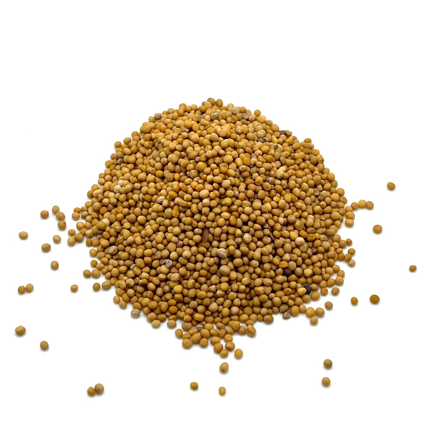 Mustard Seed, Yellow